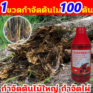 1ขวดกำจัดต้นไม้100ต้น ยากำจัดต้น 200ML สารกำจัดกอไผ่ ปลอดภัยสำหรับดินและพืช บอกลาการตัดต้นไม้ ยาฆ่ารากต้นไม้ที่มีประสิทธิภาพสูง ใช้งานง่าย ผลลัพธ์ที่ยาวนานกำจัดต้นไม้ ไม่มีการเจริญเติบโตของพืชที่ไม่ต้องการอีกต่อไป มีประสิทธิภาพต่อรากวัชพืช ยาฆ่าต้นไม้ใหญ