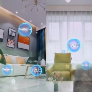 SG local sendJapan Air Purifier for Room Formaldehyde Remover Spray Air Freshener Furniture Car Formaldehyde Removal Formaldehyde Absorbent Spray Purifier Tub Japan Formaldehyde