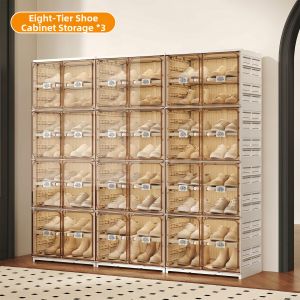 BOENIN | Transparent Shoe Storage Folding Rack