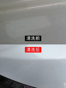 Car Paint Iron Powder Remover - Powerful for Removing Dust and Asphalt from Wheels and Tires Oxidation layer cleaner