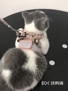 Rompi Kucing Tali Harness Kucing Anjing Tali Tuntun Reflektif Aksesoris Hewan Peliharaan