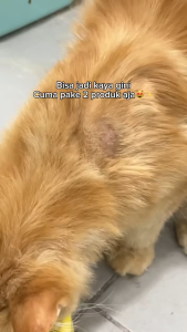 Remov Spray Obat Luka 30ml