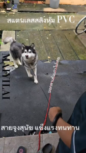 Maiyilai 1.5m สายจูงสุนัข สายจูงพร้อมที่จับหุ้มโฟม เชือกจูงสัตว์เลี้ยง สายคล้องคอสุนัข โซ่สุนัข เหมาะสำหรับสุนัขทุกตัว