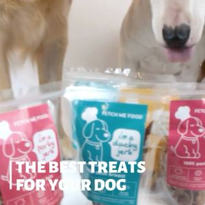 Chicken Jerky for Dogs & Cats - Air Dried