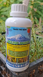[TRUNG THIEN THINH] FELISO 360EC 450ml – Trừ Đạo Ôn Lá Thối Cổ Gié Cháy Bìa Lá Giúp Lúa Cứng Cây