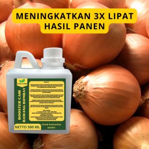 Pupuk Pelebat Bawang Bombay untuk Pertanian