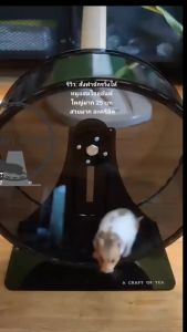 A Craft Of Tea จักรวิ่งแฮมเตอร์อะคริลิค "ดําใส"