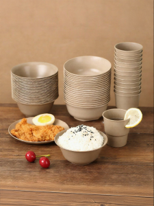 NUOXIAN | Disposable Dinnerware Set