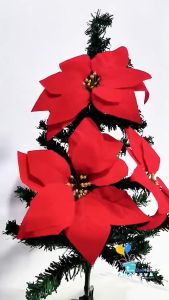 Bunga Kastuba Poinsettia Merah: Aksesoris Natal untuk Dekorasi