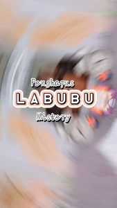 Penghapus Mystery LABUBU Cute Lucu 1 PCS Favorit Anak Terlaris / Penghapus Misteri Bag Labubu 1 Piece Harga Termurah Alat Tulis Stationary Fancy Kekinian Kualitas Terbaik Bisa Grosir dan COD