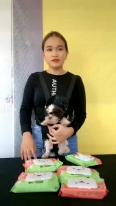 PET RECORD Pet Wipes 10/20/30 packs Dog Wipes Cat Wipes Puppy Wipes Pet Multifunctional For Cleaning Wipes