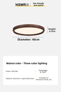 NSWR | Retro Protective Ceiling Light
