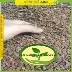 Đất trồng giá thể chuyên dụng dành cho bonsai trộn sẳn akadamapumiclava giữ ẩm thoáng rể nhập khẩu Nhật Bản 14 lít