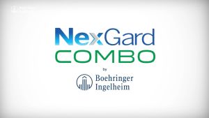 NexGard COMBO - Ống nhỏ gáy phòng & trị nội ngoại ký sinh trùng dành cho Mèo size S (<2.5kg) - 1 hộp 3 ống