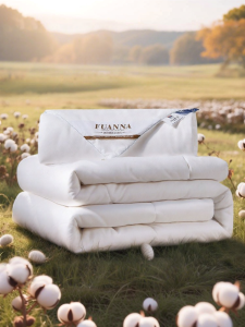 FUANNA (富安娜) | Chăn Dày Bốn Mùa Lụa và Bông Hai Lớp