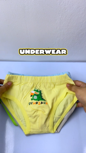 Kids High Quality 4 Pcs Cotton Underwear Carton Super Soft Briefs for Kids Boys 3-13 Years Old