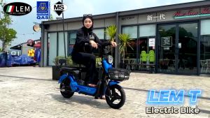 LEM new model lem t electric bike/electric bicycle/electric scooter