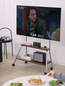 Mobile TV Stand 32-75 Inch Stainless Steel Save Space TV Floor Cart Stable with 50KG Heavy Screen TV Stand