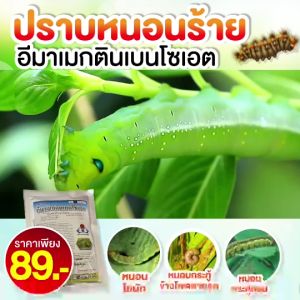 อีมาเมกติน ขนาด 100 กรัม ผสมน้ำได้ 400 ลิตร ราคา 69 ยาหนอน หนอนข้าวโพด หนอนเจาะดอก หนอนม้วนใบข้าว