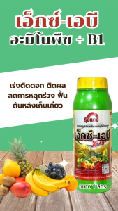 เอ็กซ์เอบี - ช่วยฟื้นต้น–เร่งการแตกใบ–เพิ่มความเขียว อะมิโนพืช 18 ชนิด เร่งแตกยอด ฟื้นต้น เสริมภูมิต้านทาน ใบเขียวเข้ม