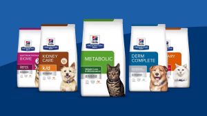 Hills k/d (Exp:30/11/25) Cat Kidney Renal Care Diet Prescription Dry Food 3.85kg 100% original