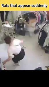 Powerful Rat Repeller gel Mouse Repeller Household Outdoor rat killer 100% natural safe Non-Toxic Harmless to Cats and Dogs rat repellant mouse repellent for home Mouse repellent spray