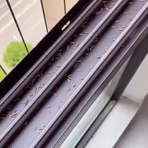 Cleaning Gel Jelly 清洁软胶 Gel Pembersih Keyboard Kereta Slime Boleh Guna Semula Car Clean Keyboard Dust Cleaning Compound Reusable Slimy Gel