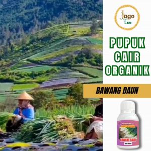 Pupuk Bawang Daun Organik Bantu Percepat Tumbuh Bawang Daun Jadi Lebat Gemuk By Jagotani Yogyakarta