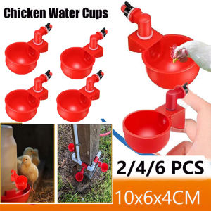 2/4/6PCS Automatic Chicken Water Cup Quail Nipple Waterer Bowl Farm Coop Poultry Drinking Water Feeder for Chicks Duck Goose Chicken Drinking Bowl Drinking Water Quail Poultry Automatic Water Dispenser Duck and Pigeon Free range Chicken Chick