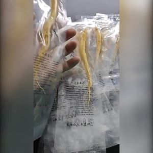 (Fast Delivery and Good Quality)中国长白山人参 单独包装Ginseng Fresh-keeping Ginseng Nourishing 20 Sticks-100g