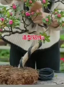 5 METERS ALUMINUM BONSAI WIRE ORCHIDS WIRE AIR PLANTS WIRE(1mm-3mm)