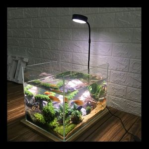 W LED Aquarium Light with Bamboo Board for Potted Plants Succulents Miniature Landscape