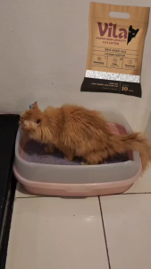 ทรายแมวเต้าหู้เกล็ด Vila ทรายแมว ออร์แกนิค จับตัวไว เก็บกลิ่น ไม่ติดเท้า ทิ้งชักโครกได้ ขนาด 10 ลิตร