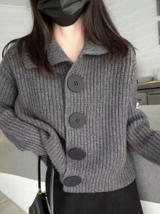 Loose Fit Long Sleeve Knitted Cardigan Womens Fashion Short Style Cashmere Outerwear Autumn Wear 2024 New Arrival