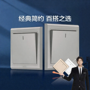 OPPLE | Dual Control Power Switch Panel Home Use Gray
