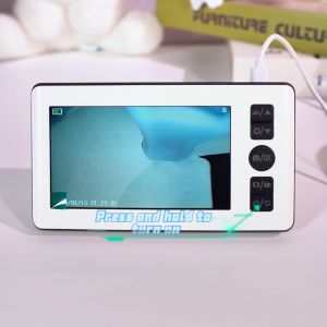 Ear Cleaning 4.3in IPS LCD Display Screen With 1080P HD Endoscopic Camera Visual Ear Cleaning Instrument Earwax Removal Tool
