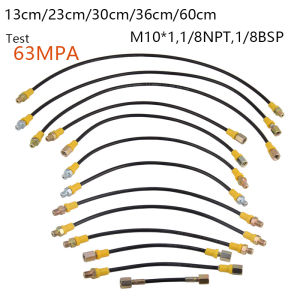 HPA Scuba 63Mpa M10 * 11/8BSP 1/8NPT Ống áp suất cao Kiểm tra bình khí Ống dẫn khí Xi lanh khí Phụ kiện nạp đầy cho máy nén khí bể cá lặn trạm