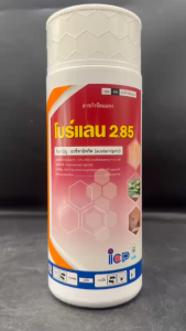 ขายยกลัง โบร์แลน​ 285​ อะซีทามิพริด​ 2.85% EC​ ขนาด 1​ ลิตร ยกลัง 20 ขวด สารดูดซึม ถูกตัวและกินตาย สูตรเย็น ผ่าดอกได้ กำจัดเพลี้ยทุกชนิด หนอน เพลี้ยแป้ง เพลี้ยหอย