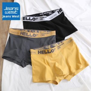 Jeanswest | Cotton Loose Breathable Mens Briefs