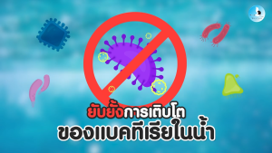 Saki-Hikari Growth 15 kg 📍เม็ดลอย📍 สูตรเร่งโตโดยเฉพาะ เพื่อให้ปลามีโครงสร้างสวยงาม