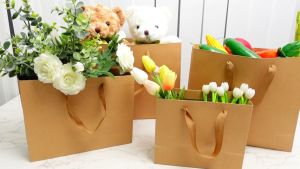 【K-BOX】Kraft Paper Bag Plain Rope Handle Hand bag Gift Bag Paperbag per