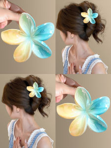 Kẹp Tóc Nửa Chải Tóc Hình Quả Trứng Màu Sắc Thanh Lịch Kẹp Tóc Cá Mập Phụ Kiện Tóc Kẹp Tóc Hình Cá Mập Phụ Kiện Tóc