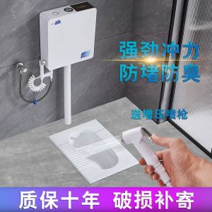 Rural Sanitation Upgrade: Post-Drainage Urinal Ceramic Toilet Bowl with Water Tank Rear Drainage Farmhouse Bathroom Equipment