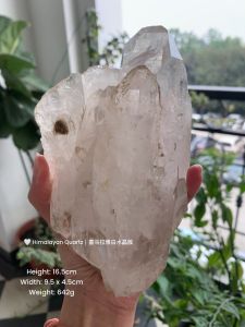 🤍 Himalayan Quartz|喜马拉雅白水晶簇