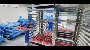 Kang He Korean freeze-dried dried strawberries 100g/Snacks/冻干草莓 中国小吃零食/酸奶块/冻干水果