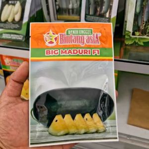Benih Semangka Big Maduri F1 20gr Pilihan Tepat untuk Hasil Optimal