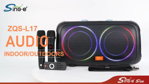 ZQS-L17 Portable Karaoke Speaker Bluetooth with RGB Light FM/TF/USB/AUX 2 Wireless Microphones High Sound Quality Audio Wireless Speaker