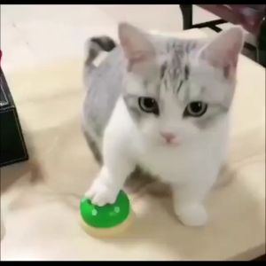 GUGU-W กริ่งฝึกสูง กริ่งฝึกแมว กระดิ่งฝึกสัตว์เลี้ยง Pet Training Bell กริ่งเรียกทานข้าว IQ ของเล่นแมว รวมเหล่า กริ่งฝึกแมว