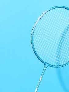 HOL Olyhealth Badminton Set With 6Pcs Shuttlecocks Badminton Rackets For Students Professional Training