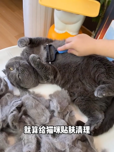 หวีแปรงขนสัตว์เลี้ยงสองด้าน หวีสุนัข หมา แมว หวีและกําจัดขนสัตว์เลี้ยงจัดแต่งทรงผมกําจัดขนและปม สําหรับกําจัดหมัดขนสัตว์เลี้ยง อุปกรณ์ดูแลขนสุนัข แมว ทำความสะอาดง่าย Pet Slicker Brush